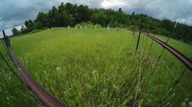 Wide angle fish-eye view of a small overgrown cemetery with an iron fence. The grass and wildflowers move in a light wind. The sky is full of gray clouds.

