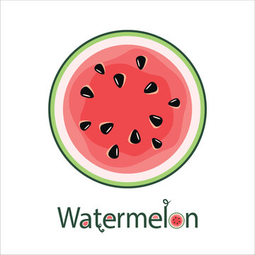 vector illustration of a watermelon in a cut with the designation