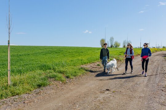 Friends Walking a Maremma Sheepdog Along a Scenic Rural Road on a Sunny Day
