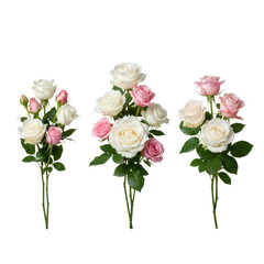 Fototapeta premium Three distinct floral arrangements of white and soft pink roses with lush green leaves in a minimalist studio setting, showcasing delicate petal textures elegance