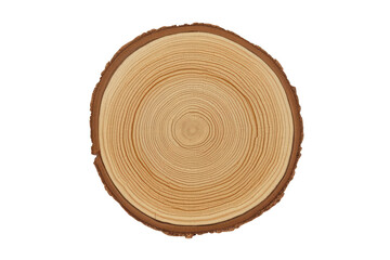 Fototapeta premium Wood slice displaying concentric annual growth rings, revealing natural timber texture and a raw edge on a transparent background