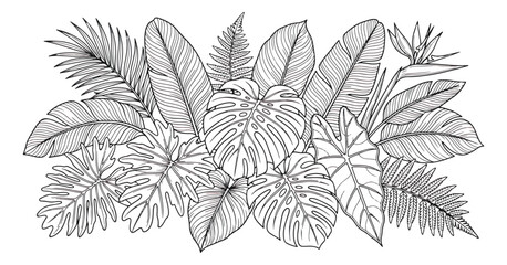 Tropical leaf line art vector illustration, exotic jungle foliage border with monstera and palm leaves, black and white botanical coloring page © ansa