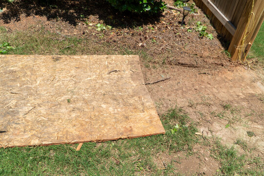 Weathered oriented strand board (OSB) panel rests on a patchy dirt and grass ground, surrounded by natural debris, a wooden fence, and a solar light in a sunny backyard.