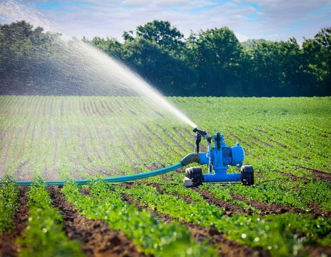 blue water pump irrigating furrow in green agricultural field pump water irrigation field agriculture farming hose blue