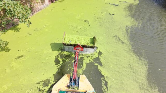 Aquatic Weed Harvester Clearing Green Surface Vegetation From a River During Daylight