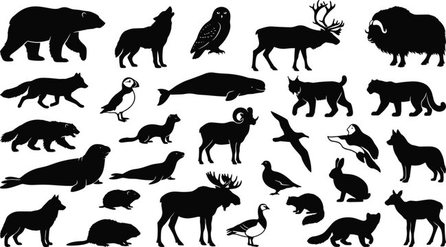 Arctic fauna silhouette collection featuring northern polar bear profiles wild tundra wolves moose icons and cold climate mountain wildlife stencils