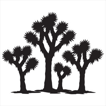Silhouette of joshua trees in arid landscape