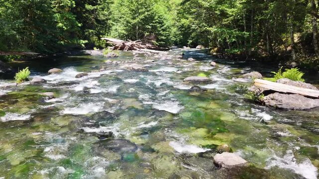 Fresh water flows down the Clackamas River in Northwestern Oregon, not far from Salem. Originating in the Mt. Hood National Forest, this beautiful 83-mile river is a tributary to the Willamette River.