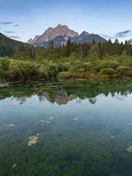 A serene, low-angle vertical landscape photograph of Zelenci Nature Reserve, featuring the clear emerald-green water of the lake with submerged aquatic plants, mirrored reflections of the lush tree li
