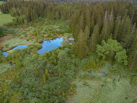 An aerial drone photograph providing a wide landscape view of the Zelenci Nature Reserve, featuring the vibrant turquoise spring pools and wooden observation infrastructure tucked against a vast, dens