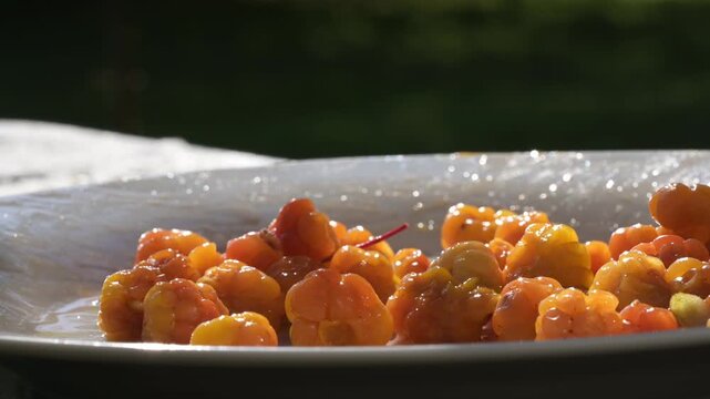 Close-up of an elderly woman's hands sorting wild cloudberries on a white plate in a garden in beautiful evening light. Finland