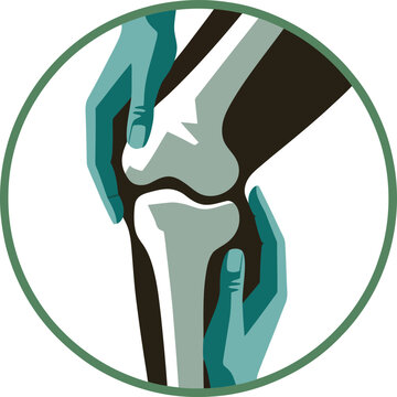 Knee joint anatomy vector icon, human leg bone structure with hands, orthopedic medical illustration for arthritis and joint pain relief