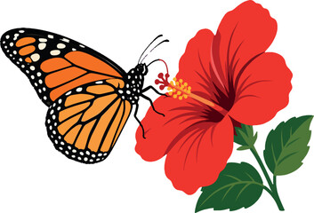 monarch butterfly sipping nectar from hibiscus, side profile, close-up, flat vector illustration © Kerem
