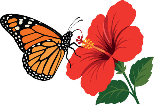 monarch butterfly sipping nectar from hibiscus, side profile, close-up, flat vector illustration