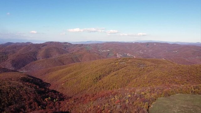 view from up - nature therapy