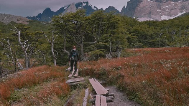 Female hiker follows a trail through a meadow into a forrest surrounded by mountain peaks on the Torres del Paine W Trek, Patagonia, Chile