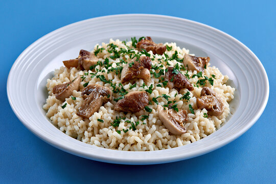 Risotto al Funghi or mushroom risotto on blue background