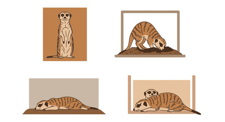 Set of Cute Meerkat Illustrations in Different Poses