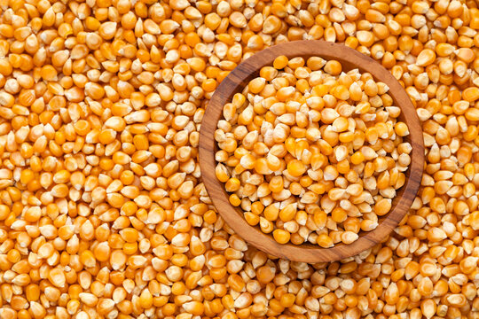 Popcorn kernels arranged in a wooden bowl with a background of yellow kernels, ideal image for cooking, snacks, agriculture, and food themes.