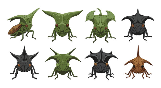 Set of Various Treehopper Insect Species Vector Illustration