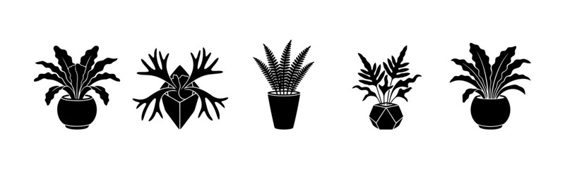 Indoor houseplant collection in modern geometric pots featuring bird nest fern staghorn fern and broad leaf tropical foliage silhouettes for contemporary home styling and interior decoration. © mr.shawn007