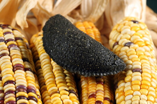 Cornmeal mush pastry served on ears of corn of various colors.