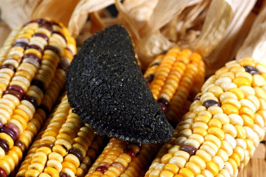 Cornmeal mush pastry served on ears of corn of various colors.