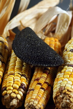 Cornmeal mush pastry served on ears of corn of various colors.