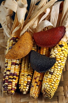 Cornmeal mush pastry served on ears of corn of various colors.