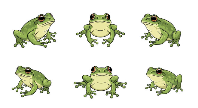 Set of Cute Green Frog Illustrations in Various Poses