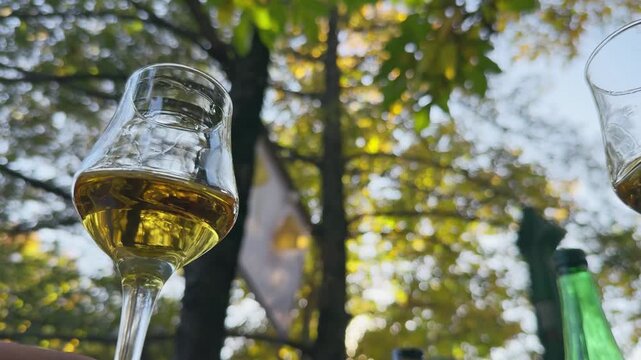Brandy Toasting Cheers at Sunset in Outdoor Celebration