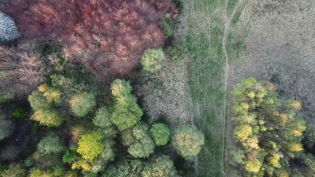 Flying over a path between two small patches of trees in late summer in Northern Europe