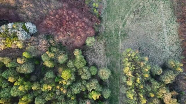 Flying over a path between two small patches of trees in late summer in Northern Europe