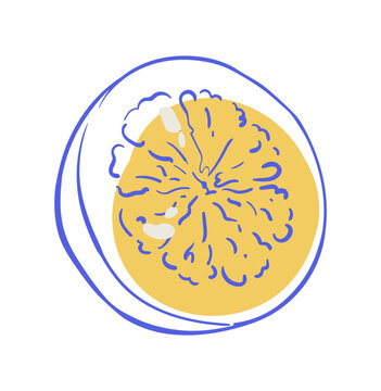 Cute coquette half lemon in whimsical style. Hand drawn yellow fruit as playful doodle and icon. Simple background for cafe menu, bakery card or brunch invitation, vector art with minimalist line