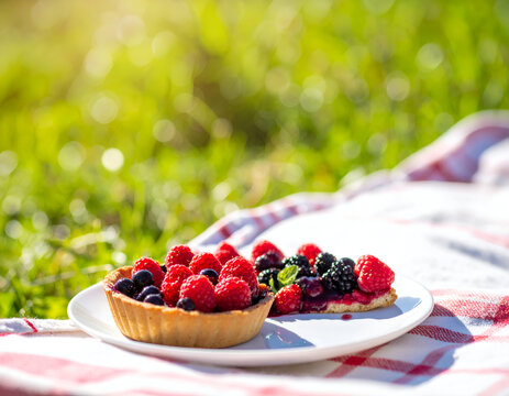 Fruit tart and pastry slice topped with fresh raspberries, blackberries, and blueberries on a white plate placed on a red checkered picnic blanket in sunlight.