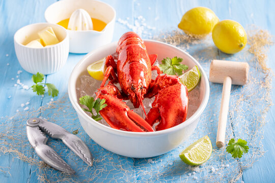 Teasty and fresh lobster as fresh mediterranean delicacy.
