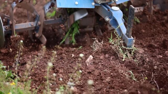 The farmer tilling the soil to prepare for planting