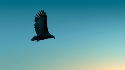Obraz premium Flying eagle with expansive copy space, colorful surreal illustration with premium minimalist style, elegant wildlife and technology-inspired concept for luxury advertising and modern editorial design