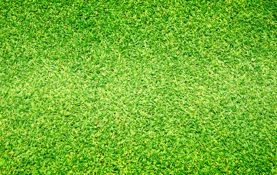 Grass green field football