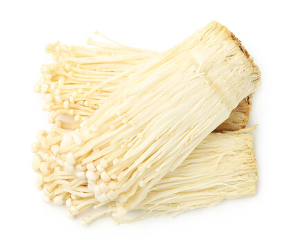Clusters of raw enoki mushrooms isolated on white, top view