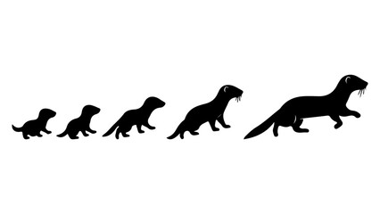 Evolution of Dinosaur Species from Small to Large. © TAK Studio