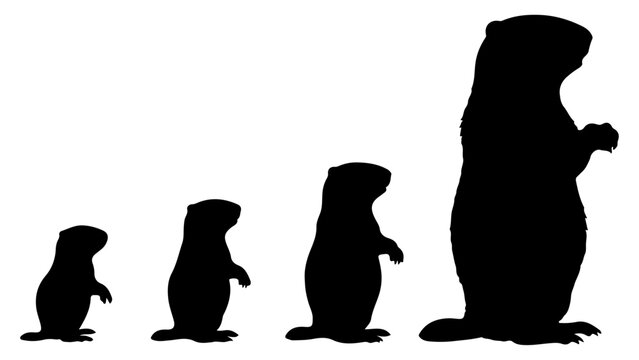 Progression of a Dinosaur from Small to Large Size.