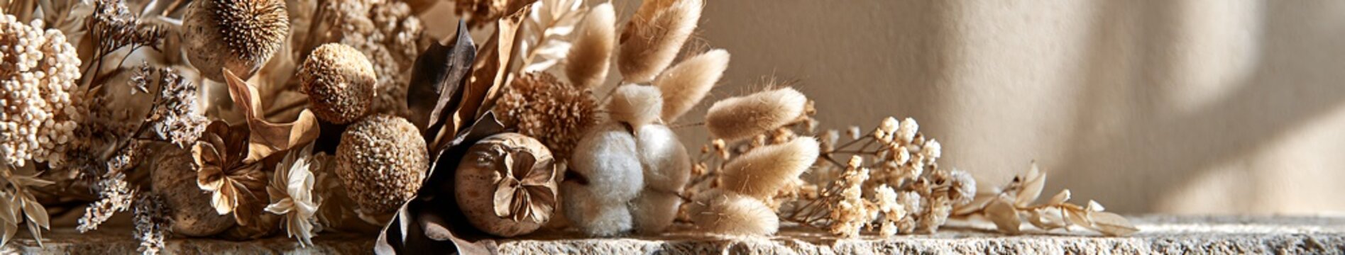 Autumn Panoramic botanical still life of dried flowers, seed heads and cotton bolls on a textured stone surface with warm neutral copy space