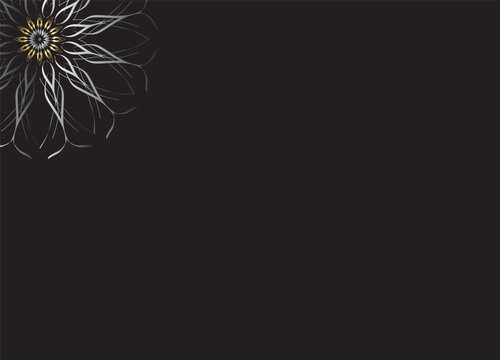 Monochrome Abstract Flower Petals with Black Background