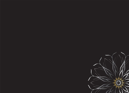 Monochrome Abstract Flower Petals with Black Background