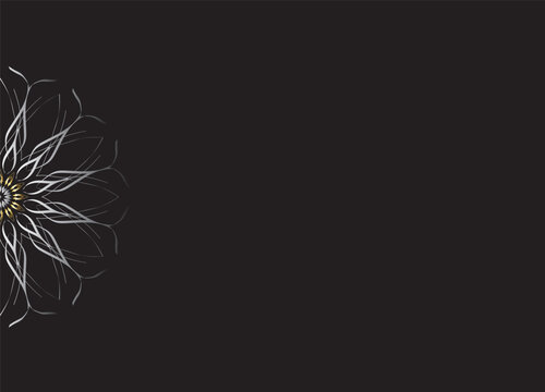 Monochrome Abstract Flower Petals with Black Background