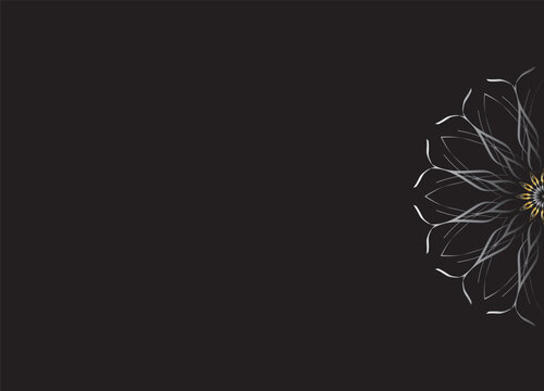 Monochrome Abstract Flower Petals with Black Background
