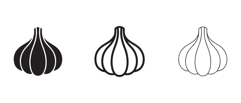 garlic bulb illustrations for cooking and food design  simple yet detailed vector graphics