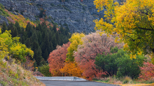 American Fork Canyon fall foliage with colorful trees