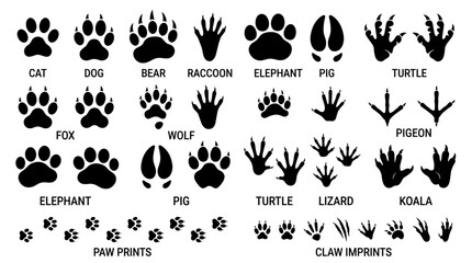 Obraz premium Animal Footprints, Paw Prints, Claw Marks, Wildlife Icons isolated on White Background